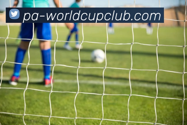 世界杯体育投注平台生态图